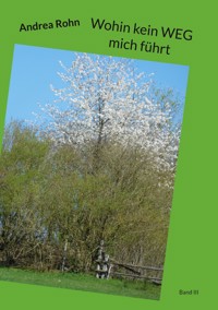 Wohin kein WEG mich führt - Andrea Rohn - ebook