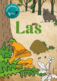 Las. Kolorowanka - Katarzyna Kopiec-Sekieta - książka