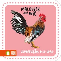 Maluszek już wie Zwierzęta na wsi -  - książka