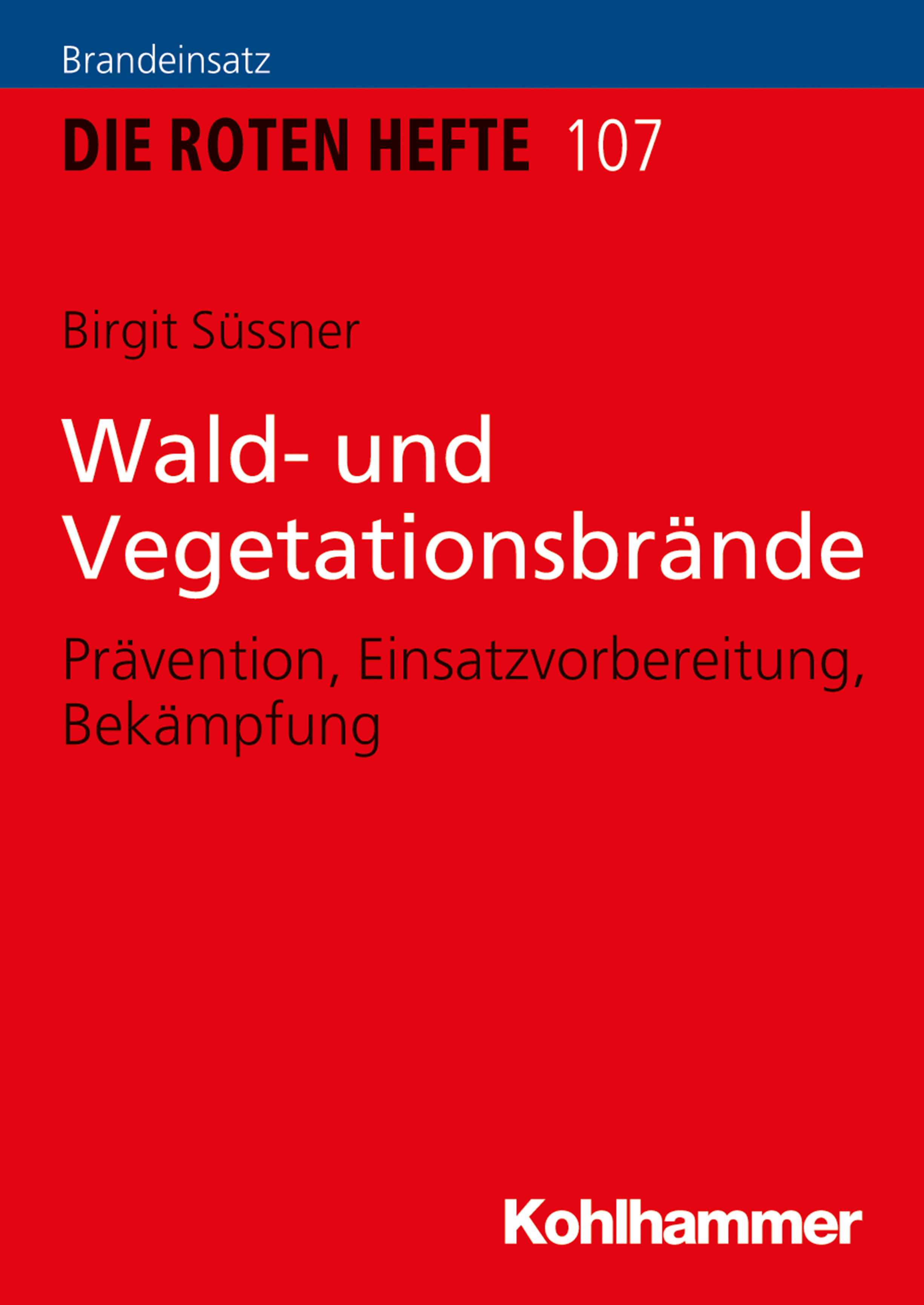 Wald- und Vegetationsbrände - Birgit Süssner - ebook