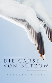 Die Gänse von Bützow - Wilhelm  Raabe - ebook