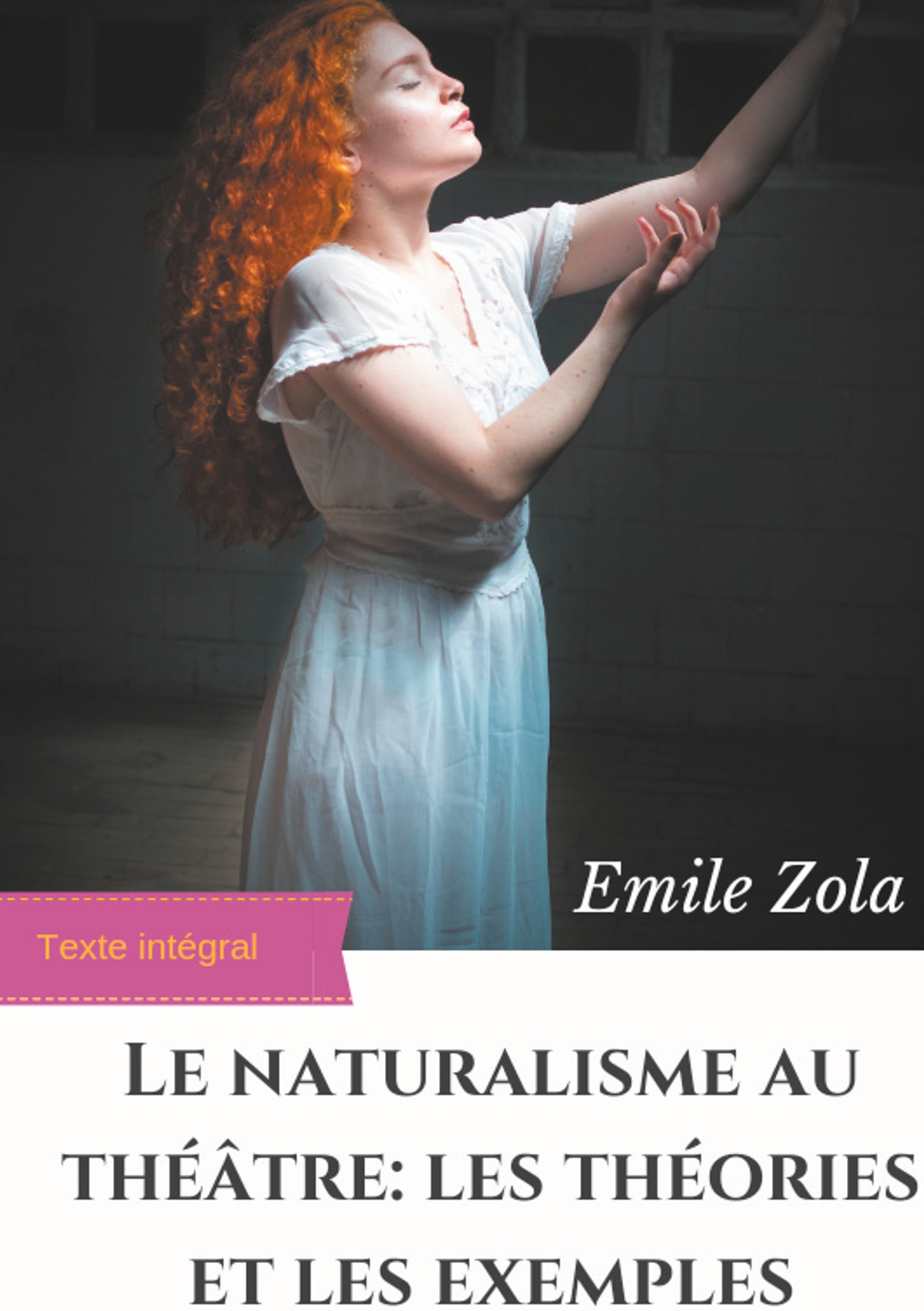 Le Naturalisme au théâtre : les théories et les exemples - Émile Zola - ebook