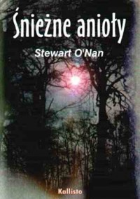 Śnieżne anioły - Stewart O'Nan - ebook
