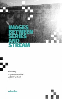 Images Between Series and Stream -  - książka