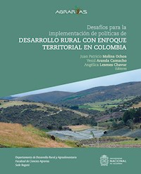 Desafíos para la implementación de políticas de desarrollo rural con enfoque territorial en Colombia - Juan Patricio Molina Ochoa - ebook