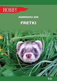 Fretki - Agnieszka Zas - książka