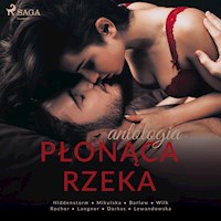 Płonąca rzeka - zbiorowa praca - audiobook