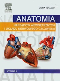Anatomia narządów wewnętrznych i układu nerwowego człowieka - Ignasiak Zofia - książka