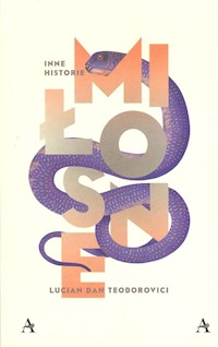 Inne historie miłosne - Teodorovici Lucian Dan - książka