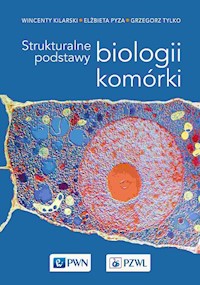Strukturalne podstawy biologii komórki - Kilarski Wincenty, Pyza Elżbieta, Tylko Grzegorz - książka