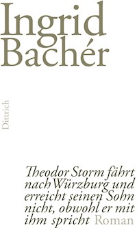 Theodor Storm fährt nach Würzburg und erreicht seinen Sohn nicht, obwohl er mit ihm spricht - Ingrid Bachér - ebook