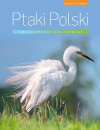 Ptaki Polski. Encyklopedia ilustrowana - Andrzej Kruszewicz - książka