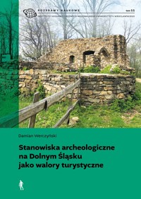 Stanowiska archeologiczne na Dolnym Śląsku jako walory turystyczne - Damian Werczyński - książka