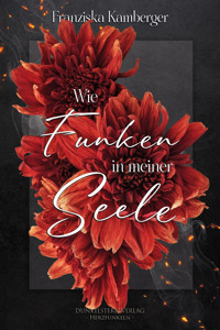 Wie Funken in meiner Seele - Franziska Kamberger - ebook