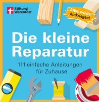 Die kleine Reparatur - Hess Thomas - ebook