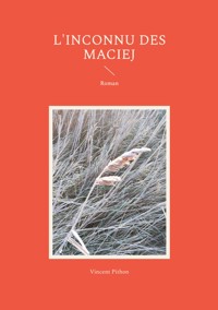 L'inconnu des Maciej - Vincent Pithon - ebook