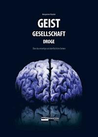 Geist-Gesellschaft-Droge - Benjamin Fässler - ebook