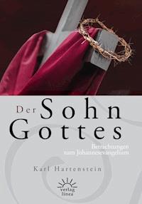 Der Sohn Gottes - Karl Hartenstein - ebook