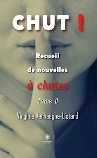 Recueil de nouvelles à chutes - Tome 2 - Virginie Verhaeghe-Liotard - ebook