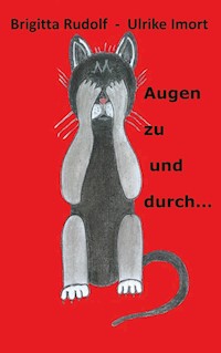 Augen zu und durch... - Brigitta Rudolf - ebook