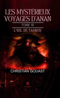 Les mystérieux voyages d’Anan - Tome 3 - Christian Gouast - ebook
