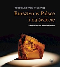 Bursztyn w Polsce i na świecie - Kosmowska-Ceranowicz Barbara - książka