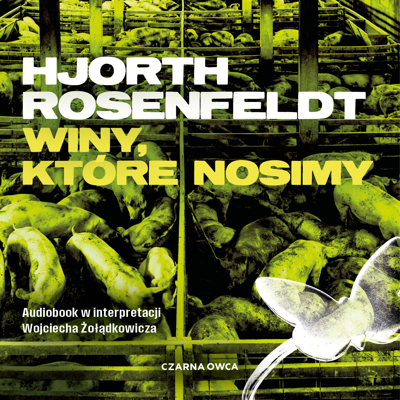 Sebastian Bergman. Winy, które nosimy