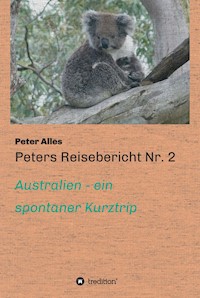 Peters Reisebericht Nr. 2 - Peter Alles - ebook