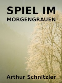 Spiel im Morgengrauen - Arthur Schnitzler - ebook
