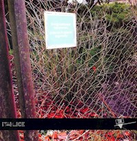 Pierzchające ogrody - Latawiec Bogusława - książka