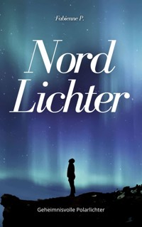 Nordlichter - Fabienne P. - ebook