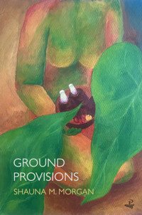 Ground Provisions - Shauna M. Morgan - ebook