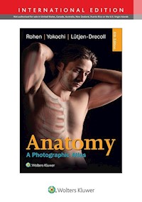 Anatomy: A Photographic Atlas 8e - Rohen Johannes W., Yokochi Chihiro, Lütjen-Drecoll Elke - książka