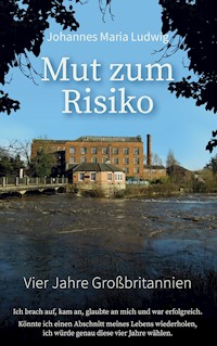 Mut zum Risiko - Johannes Maria Ludwig - ebook