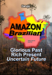 Amazon Brazilian - Carlos Araujo Carujo - ebook