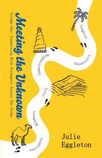 Meeting the Unknown - Julie Eggleton - ebook