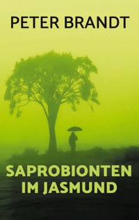 Saprobionten im Jasmund - Peter Brandt - ebook