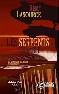 Les chroniques policières de Biscarrosse - Tome 4 - Rémy Lasource - ebook