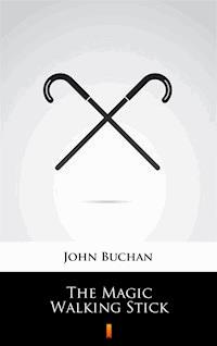 The Magic Walking Stick - John Buchan - ebook