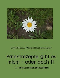 Patentrezepte gibt es nicht - oder doch ?! - Marion Bleckenwegner - ebook