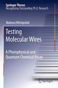 Testing Molecular Wires - Mateusz Wielopolski - ebook