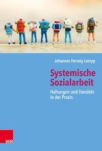 Systemische Sozialarbeit - Johannes Herwig-Lempp - ebook