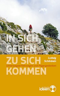 In sich gehen - zu sich kommen - Ludwig Schönbein - ebook