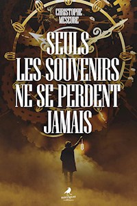 Seuls les souvenirs ne se perdent jamais - Christophe Meseure - ebook