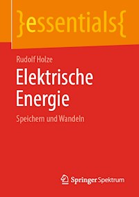 Elektrische Energie - Rudolf Holze - ebook