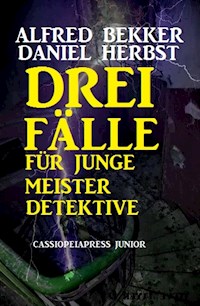 Drei Fälle für junge Meisterdetektive - Alfred Bekker - ebook