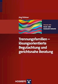 Trennungsfamilien – lösungsorientierte Begutachtung und gerichtsnahe Beratung - Jörg Fichtner - ebook