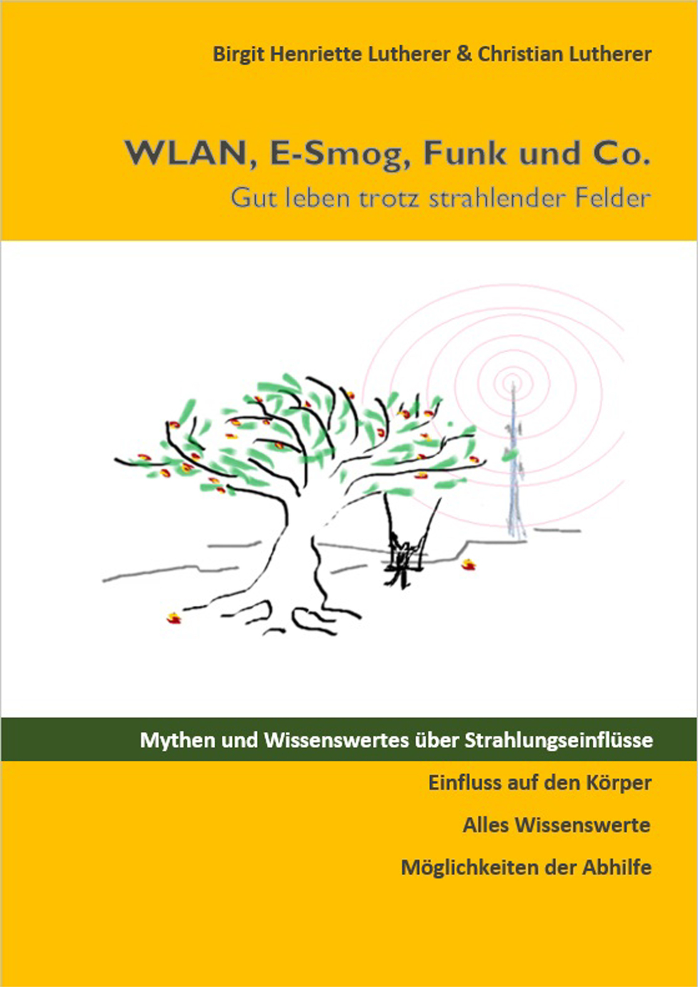 WLAN, E-Smog, Funk und Co. - Birgit Henriette Lutherer - ebook