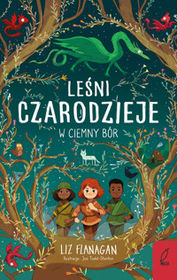 Leśni Czarodzieje. W ciemny bór - Liz Flanagan - książka
