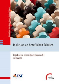 Inklusion an beruflichen Schulen - Roland Stein - ebook